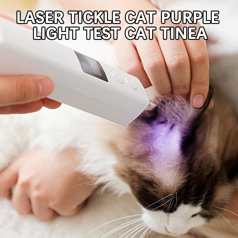 Electric Pet Nail Grinder,Usb  - đánh giá và giá Pet Nail Grinder