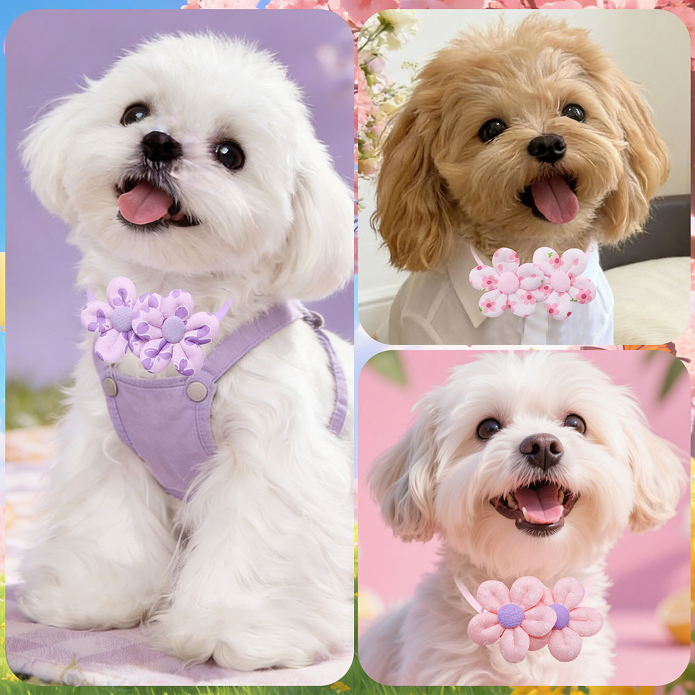 10PCS Flower Shape Sweet Dog B - đánh giá và giá Dog Bandana Scarf
