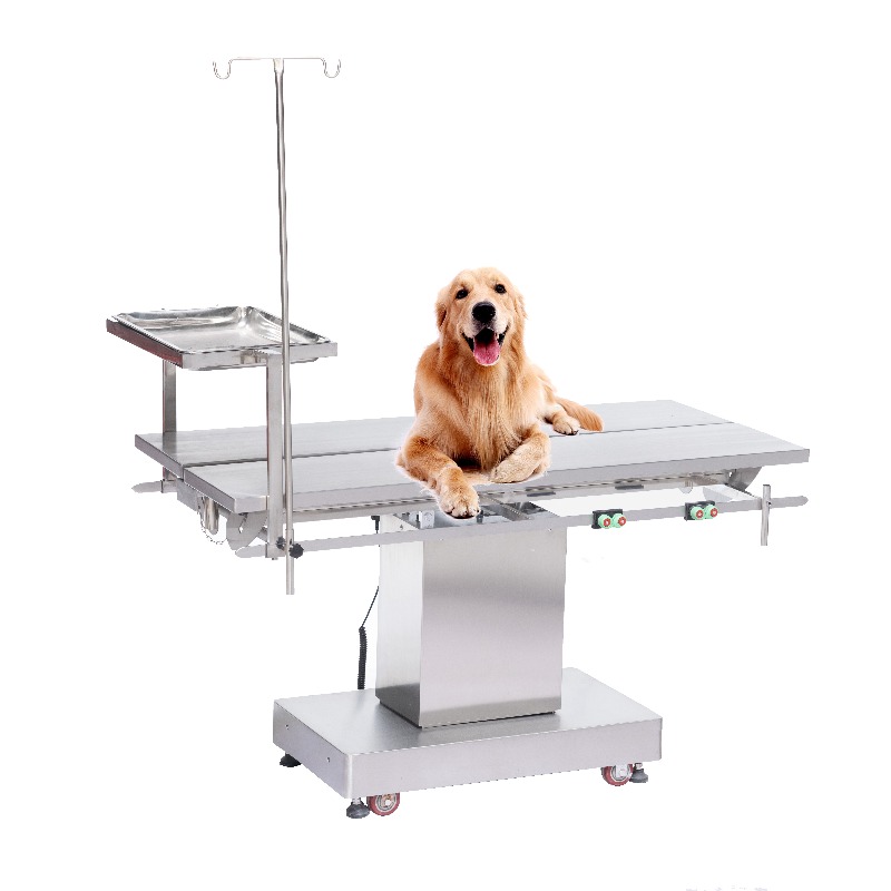 2026 Vet Examination Table Ani - đánh giá và giá Pet Supplies Vet Clinic