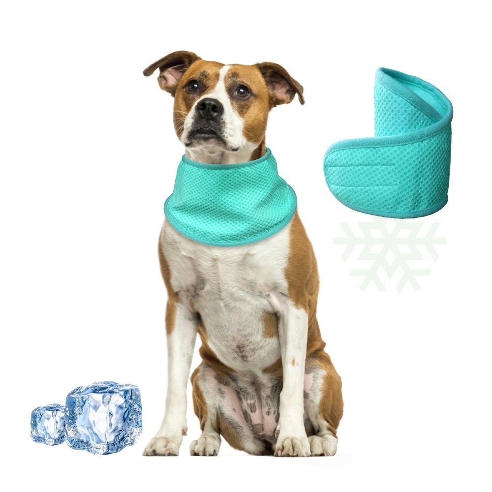 New Adjustable Dog Cooling Ban - đánh giá và giá Dog Bandana Scarf