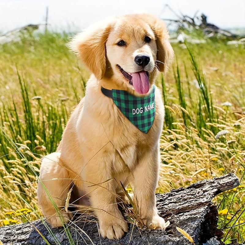 Personalized Embroidered Pet B - đánh giá và giá Dog Bandana Scarf