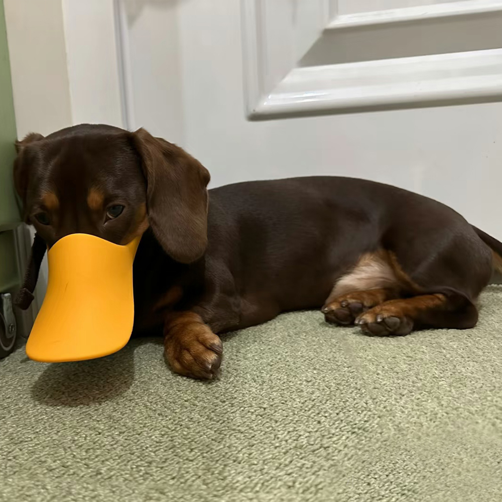 Dog Silicone Duck Muzzle For W - đánh giá và giá Dog Muzzle Silicone