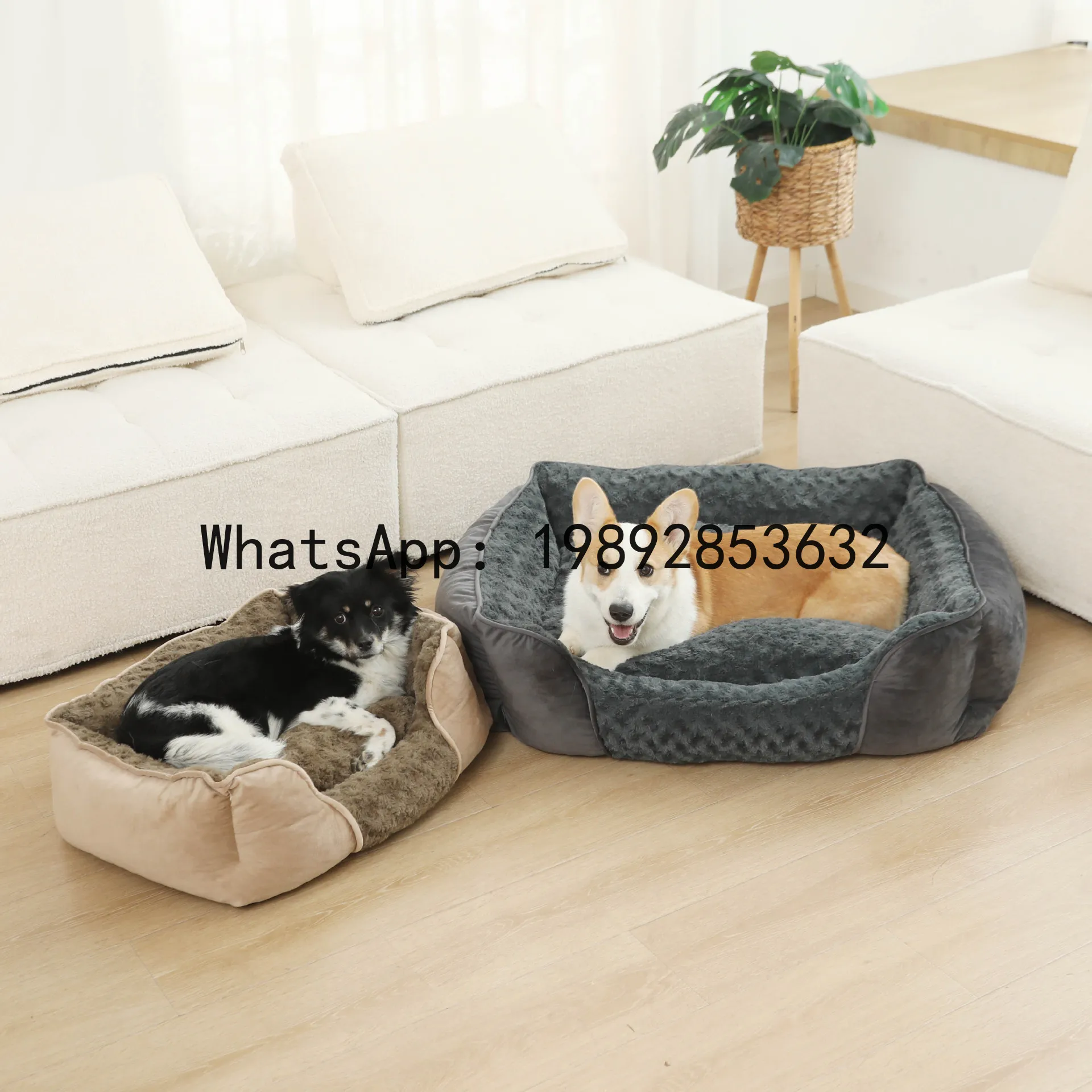 X cat house semi-enclosed dog  - đánh giá và giá Pet X Supplies & Tack