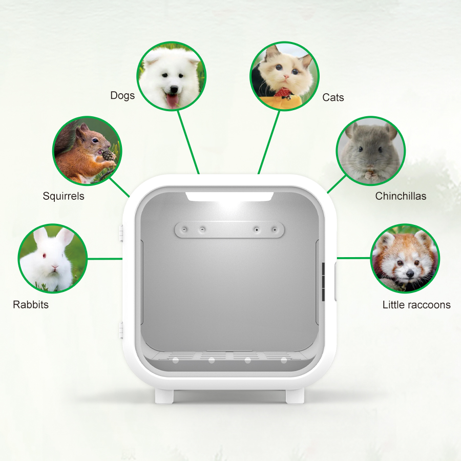 JW Vet Clinic One-button Opera - đánh giá và giá Pet Supplies Vet Clinic