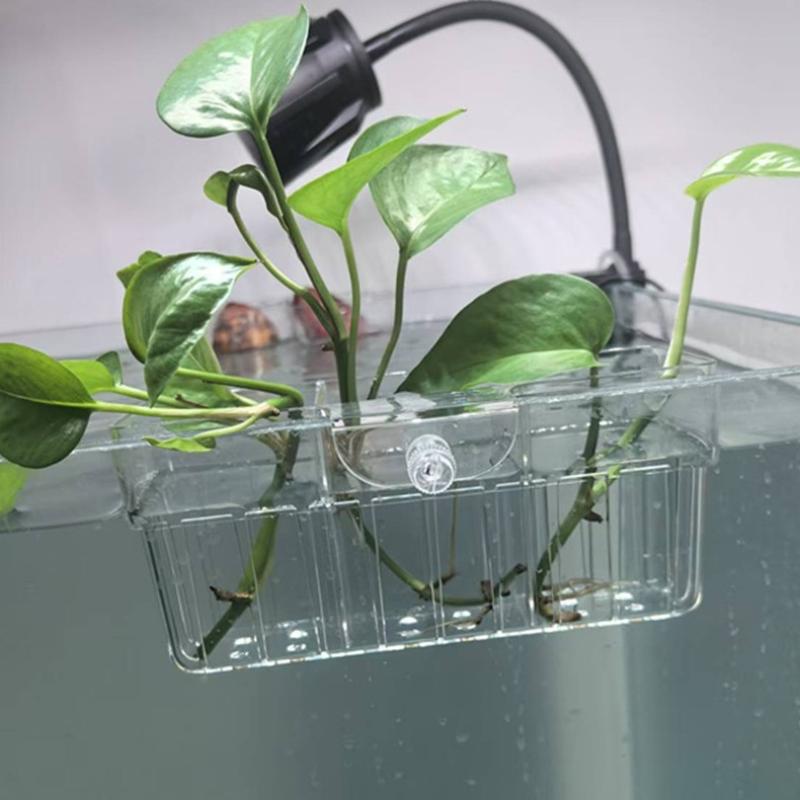 Hydroponic Plant Basket Food G - đánh giá và giá Aquarium Fish Tank