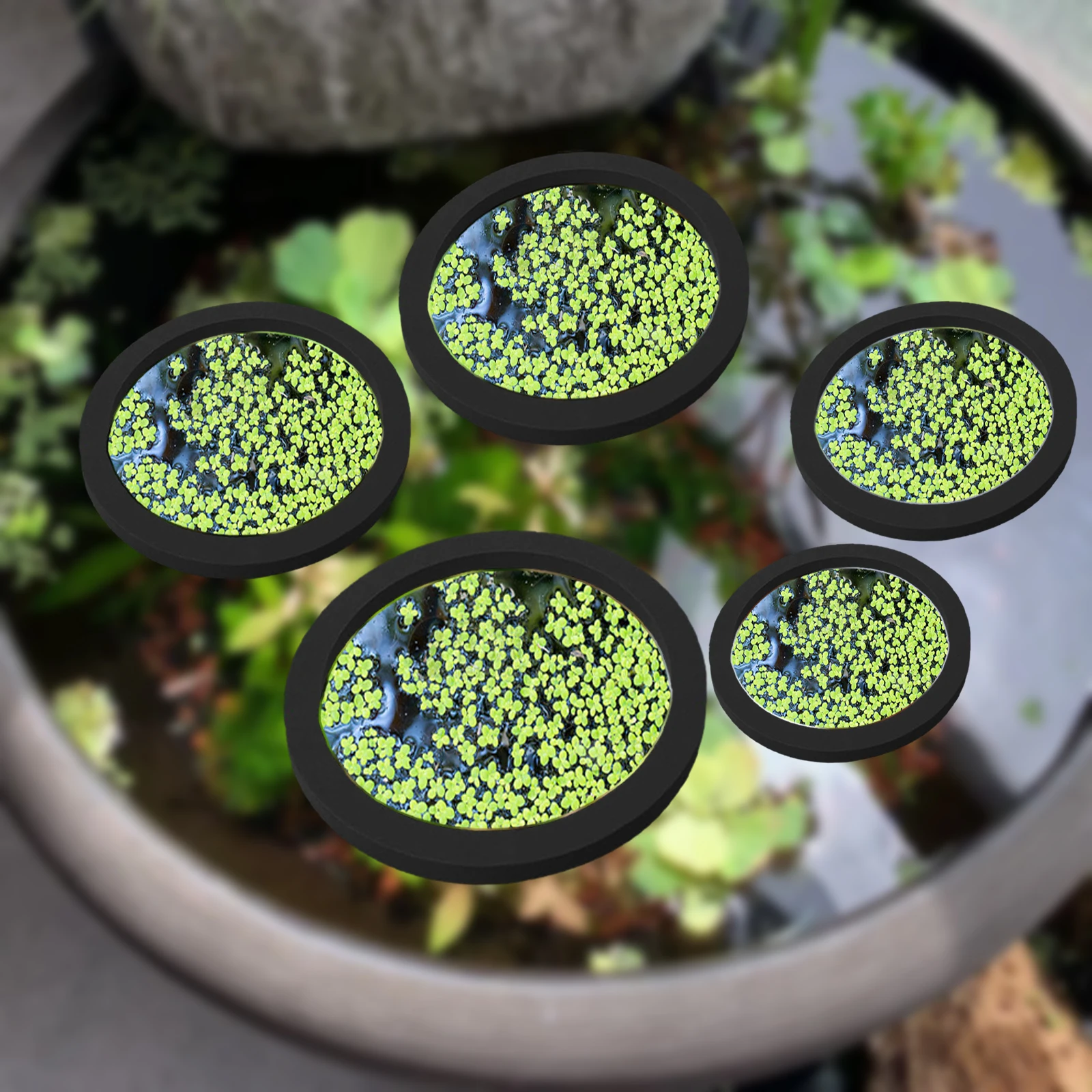 5Pcs EVA Fish Feeding Ring Aqu - đánh giá và giá Aquarium Fish Tank