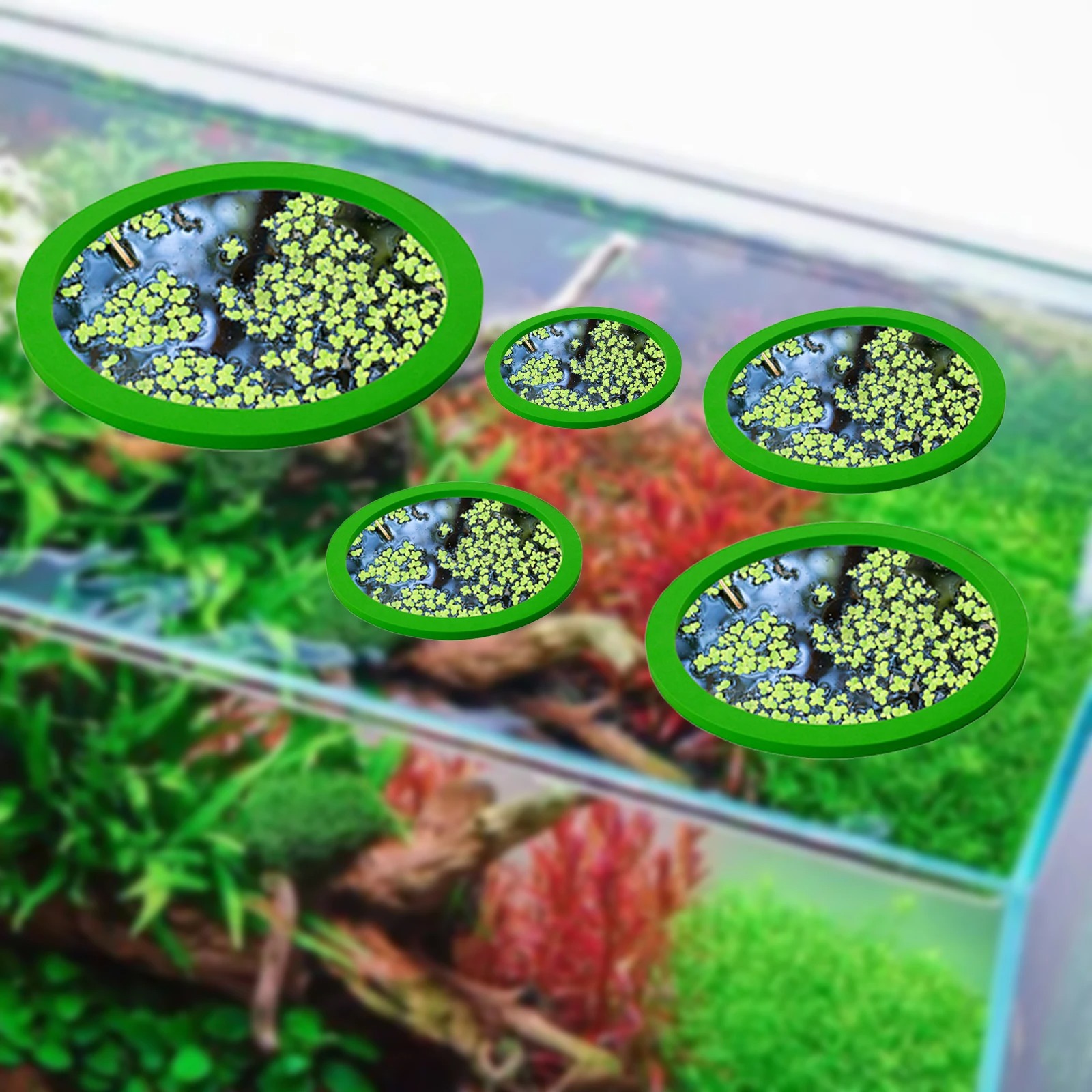 5Pcs EVA Fish Feeding Ring Aqu - đánh giá và giá Aquarium Fish Tank