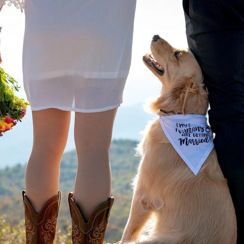 Của Con Người Được Kết Hôn Chó - đánh giá và giá Dog Bandana Scarf