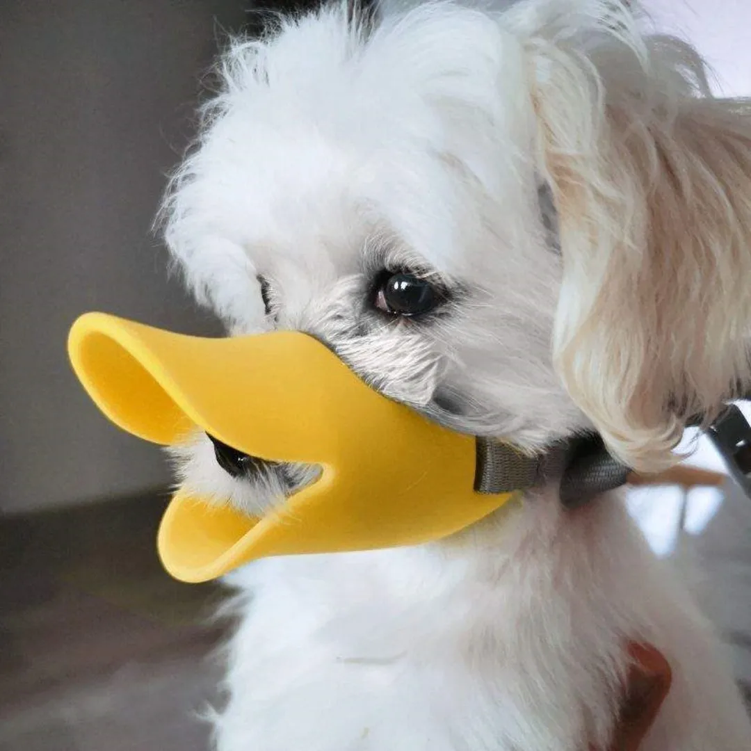 Dog Silicone Duck Muzzle For P - đánh giá và giá Dog Muzzle Silicone