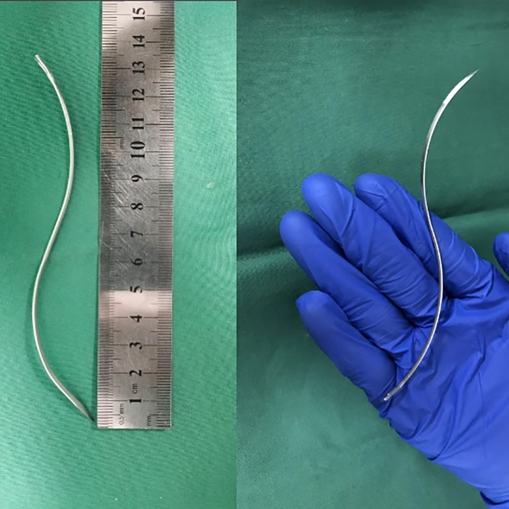 Animal S-shaped Suture Needle  - đánh giá và giá Pet Supplies Vet Clinic