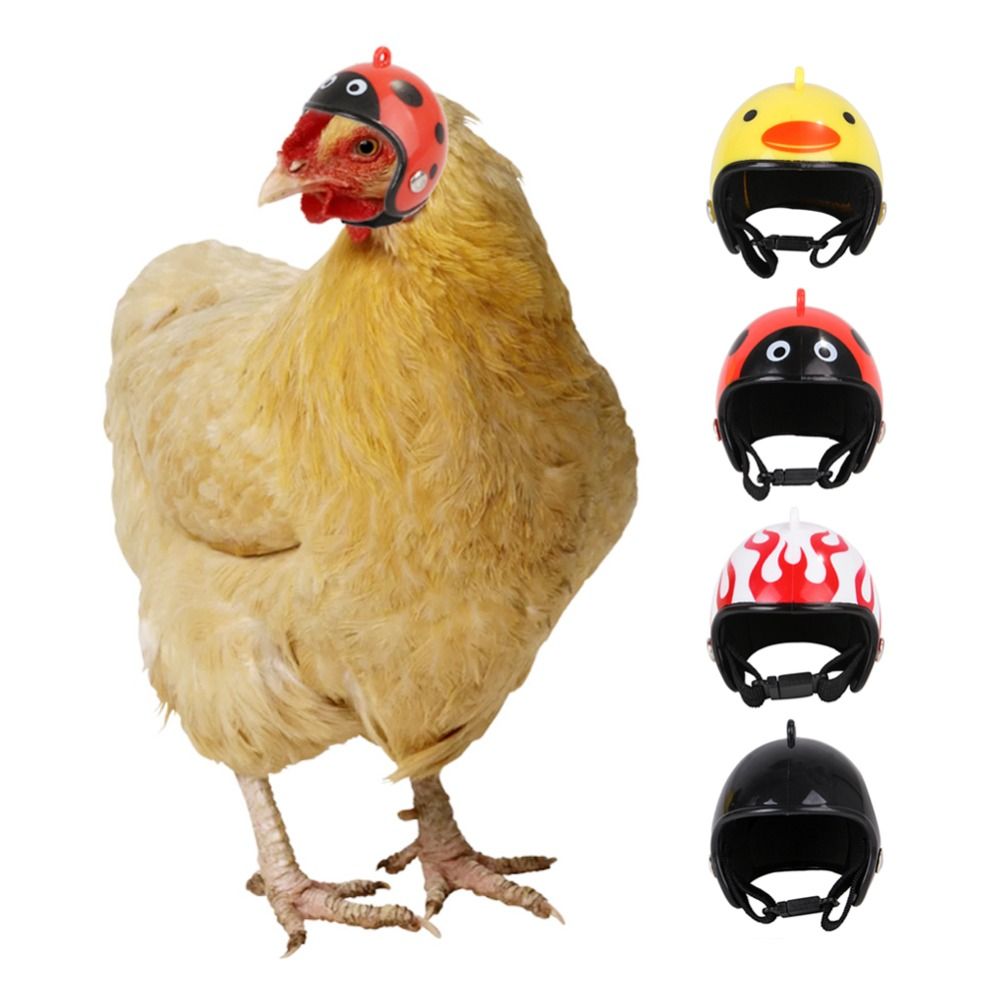 ABS Pet Supplies Funny Pet Pro - đánh giá và giá Pet X Supplies & Tack