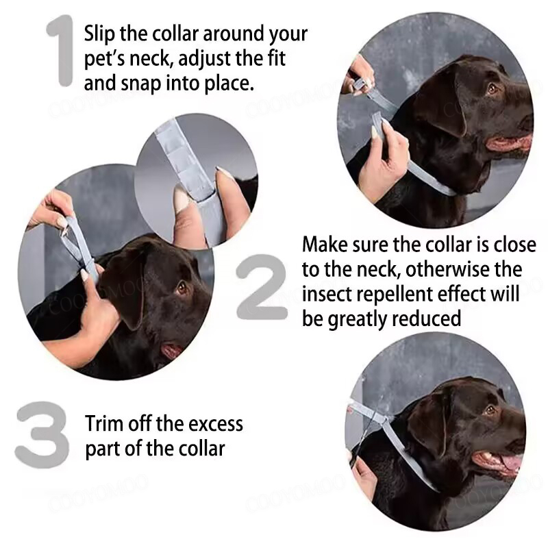 Dog Collars Puppy Dog Cats 72c - đánh giá và giá Dog Muzzle Silicone