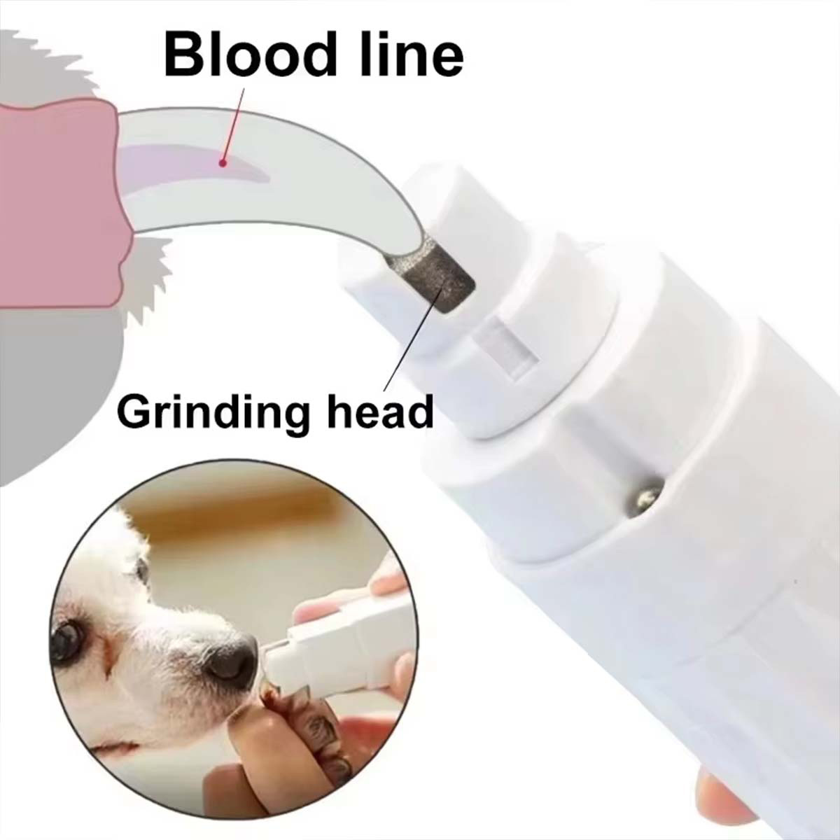 Electric Pet Nail Grinder Dogs - đánh giá và giá Pet Nail Grinder