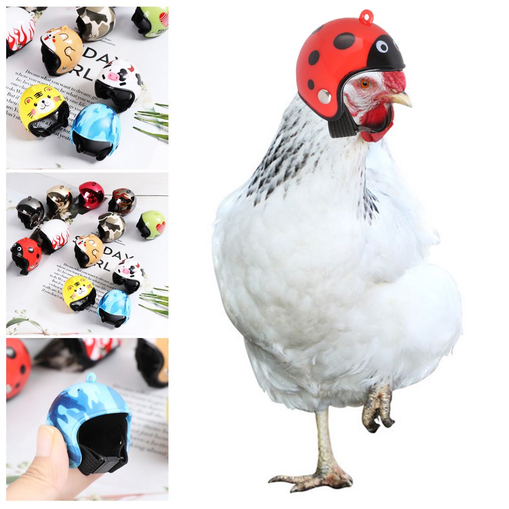 ABS Funny Pet Supplies Pet Pro - đánh giá và giá Pet X Supplies & Tack