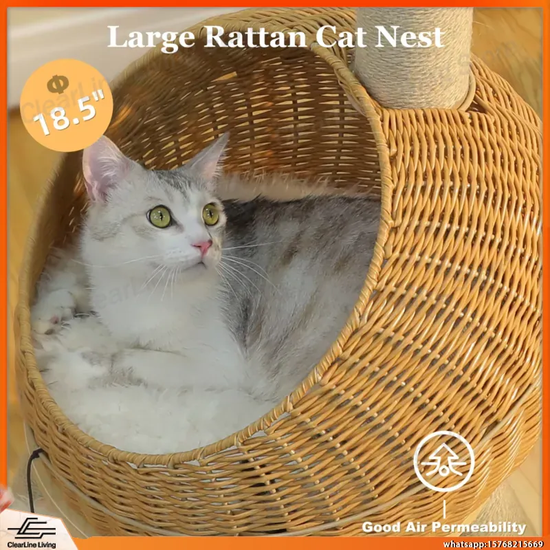 Dinosaur Cat Tree Tower with S - đánh giá và giá Cat Scratching Post
