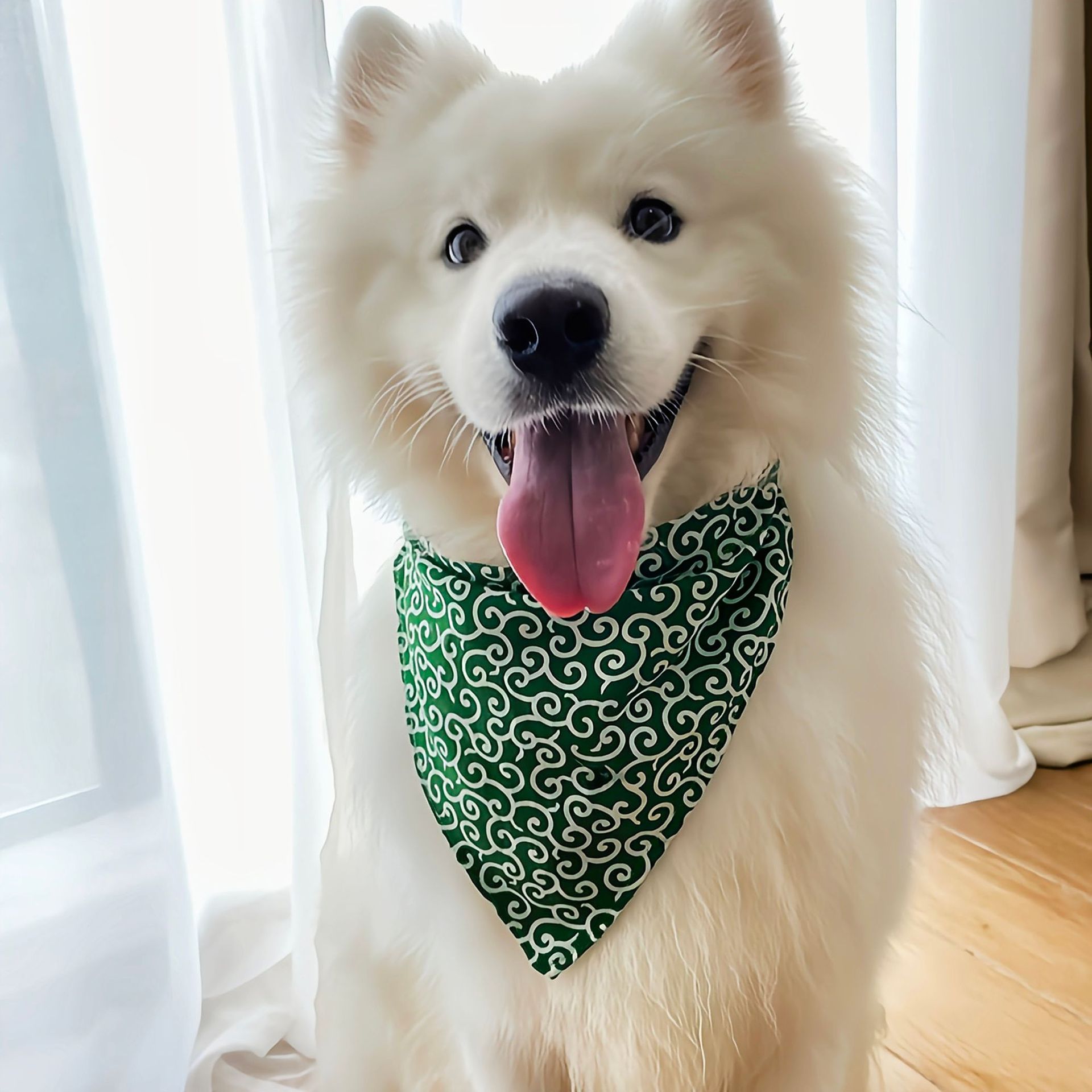 Dog Accessories NEW Pet Dog Ba - đánh giá và giá Dog Bandana Scarf